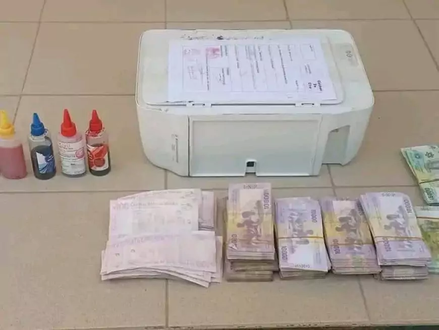 Maroua : 32.594.000f de faux billets saisis par la gendarmerie