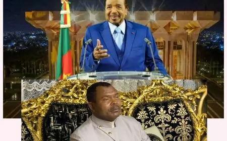 Discours de fin d’année du président de la République : l’Hon. Manfouo David décrypte les orientations de Paul Biya pour 2026