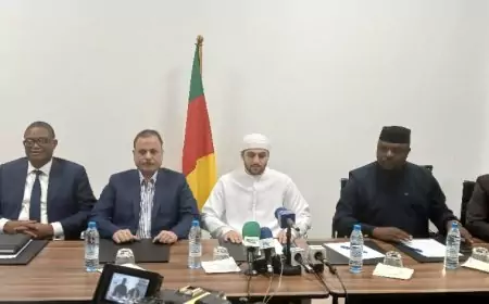 Coopération économique entre SCG Group of companies investment LLC et la république du Cameroun, de nouvelles perspectives pour la mise en œuvre de la SND 30.