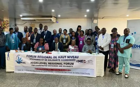 Le Redhac relance le débat sur la paix en Afrique centrale