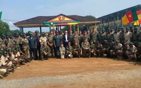 Cameroun : des soldats mieux armés face à la menace des EEI