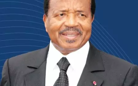 Paul biya et la mystique du mardi : L'architecture de la puissance et le sacre de la souveraineté.