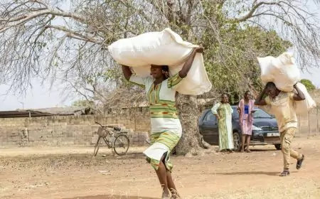 ZLECAf : Yaoundé accueille un dialogue pour une Afrique centrale plus inclusive