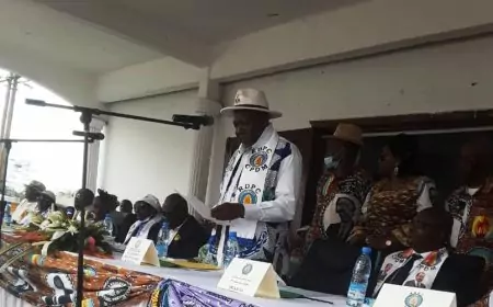 AN 41 du RDPC : La section du Mfoundi 4 dans la région du Centre du pays se mobilise pour marquer les esprits lors de cette commémoration