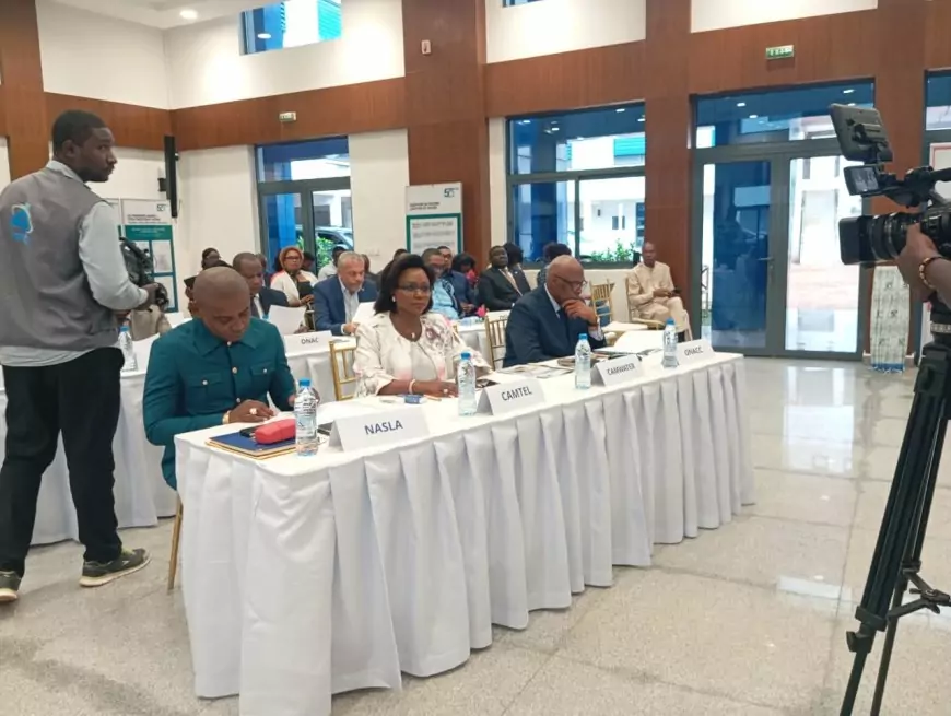 6ème réunion de la Plateforme Nationale des Acteurs de l'Urbain, l'ANAU voit le jour pour un cadre de vie décent au Cameroun