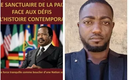 Édition au Cameroun : Brice Molemh signe la couverture primée du livre sur Paul Biya  