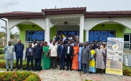 La crevette camerounaise en route vers la labélisation internationale