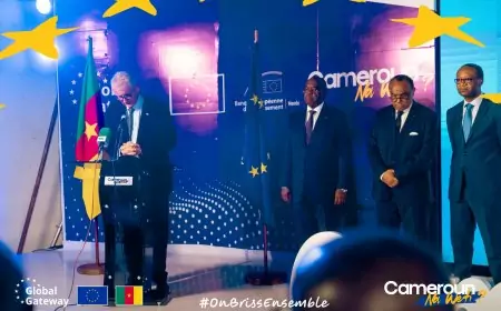 Journée de l’Europe 2026 : Jean-Marc Châtaigner plaide pour un partenariat ancré dans le concret