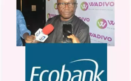 Affaire Wadivo vs Ecobank Cameroun : le tribunal tranche, 1,5 milliard de francs CFA de dommages civils prononcés contre la banque 