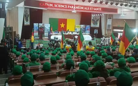 Filière Banane-plantain : 450 jeunes embarquent pour une aventure entrepreneuriale.