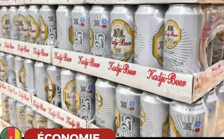 UCB met en service la première chaîne de production de sa 2ème usine dans le Moungo