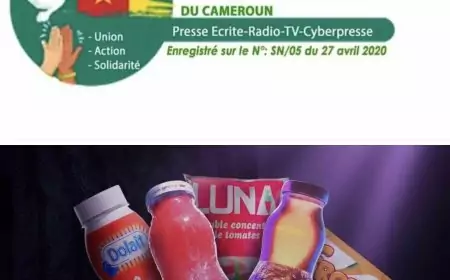 Affaire SOTICAM Bekoko : le SYNAJIC recadre le traitement médiatique après un accord signé sous l’égide de l’Inspection du Travail