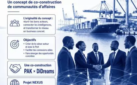 Après la Box et le Datathon, le PAK lance Nexus pour connecter sa communauté d’affaires