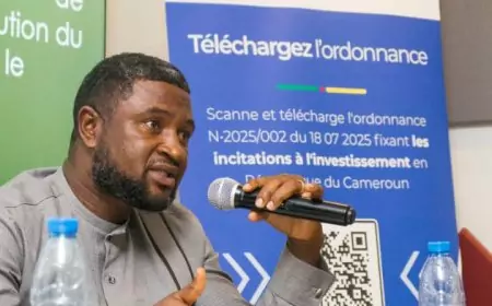 Accompagnement des investisseurs : CREATIV GROUP confirme son engagement aux côtés de l’API