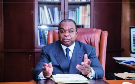 Kikot-mbebe, Lom Pangar, Memve’ele, Mekin, Nachtigal : l’audit après la dérive