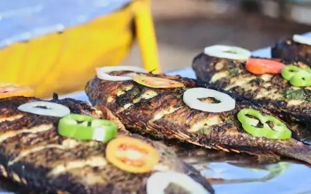 NDEMALASUE entre dans une nouvelle ère : le Festival du Poisson devient le patrimoine de toute une filière