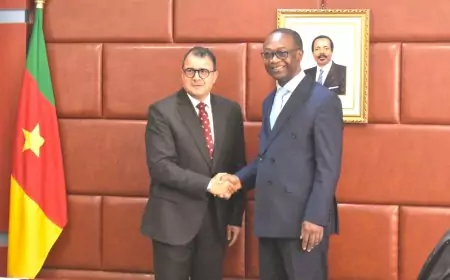 Cameroun–Égypte : un nouvel élan de coopération économique pour les PME et l'artisanat