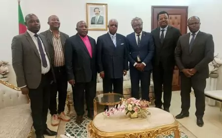 Cameroun : le Synajic reçu par le ministre de la Communication René Emmanuel Sadi