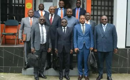 Microfinance : Nofia renaît de ses cendres et affiche de grandes ambitions