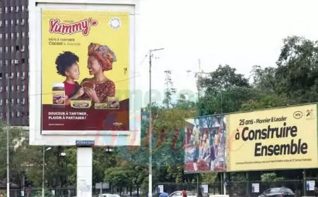 Publicité à Douala : l'Arpc dénonce la persistance des « régies accréditées » malgré l'interdiction ministérielle