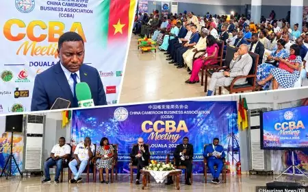 CCBA Business Meeting Douala 2026 : Cameroun et Chine misent sur des partenariats durables