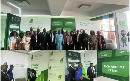 Safinum 2026 : Yaoundé accueillera le premier Salon de la finance numérique 
