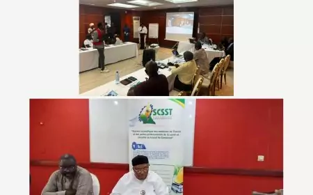 Douala au Cameroun : le pré-congrès de la Scsst place la sécurité et la santé au travail au service de tous les travailleurs