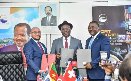 Port de Kribi : 50 milliards de FCFA et jusqu'à 800 emplois pour un terminal agro-industriel