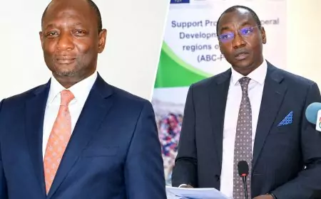 Chapitre 94 au Cameroun : précisions sur un document d'enquête largement relayé